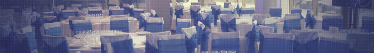 <p>
	 Один из наших проектов: корпоративное мероприятие в банкетном зале в Москве. Перед нами стояла задача: обеспечить банкет на 160 человек столами и стульями, предоставить столы для фуршетной линии и привезти текстиль в бело-синих цветах для украшения мебели. В кейсе фото с объекта.
</p>