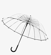Аренда зонтов
